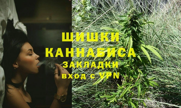 прущая мука Горняк