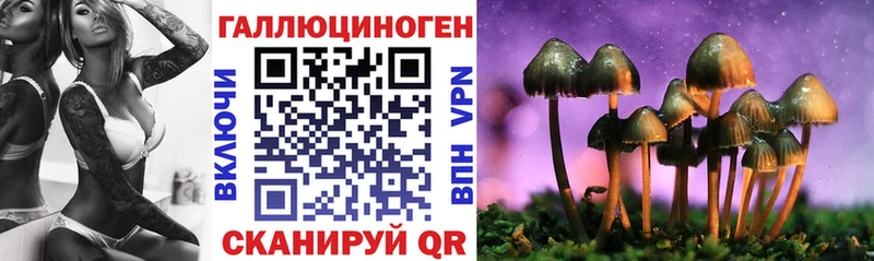 Галлюциногенные грибы Cubensis  Купить где  Венёв 